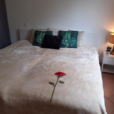 Logement Calme Et Agreable A Proximite D'Ajaccio Canale Ngoại thất bức ảnh